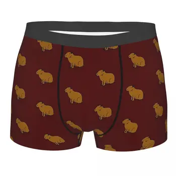 Roșu Capybara Hydrochoerus Hydrochaeris Animal Chiloți Breathbale Chilotei Om Lenjerie De Imprimare Pantaloni Scurți Boxeri