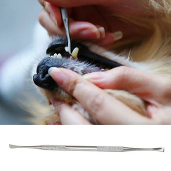 Dublu-cap din Otel Inoxidabil de Companie Tartar de Piatră Remover Racleta Scala pentru Câine Pisică Dentare Dinte Igienă Orală Îngrijire a Sănătății Instrumente