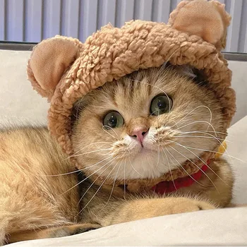 Pisica de companie decor pălărie cat personalitate creatoare acopere capul prost drăguț multi-culoare rochie de până articole de acoperit capul