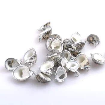 La Întâmplare Naturale Coajă Spirală Charm Placat cu Argint Margine pentru a Face Bijuterii 20-23 mm 10buc TRS0154